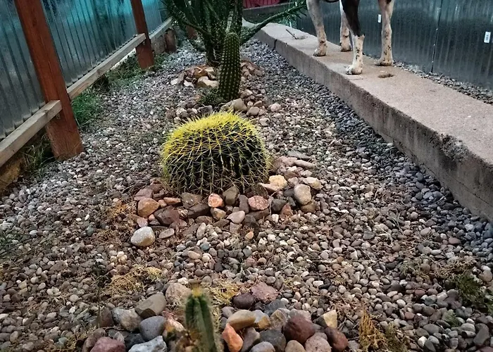 La Casa Sirena Bisbee