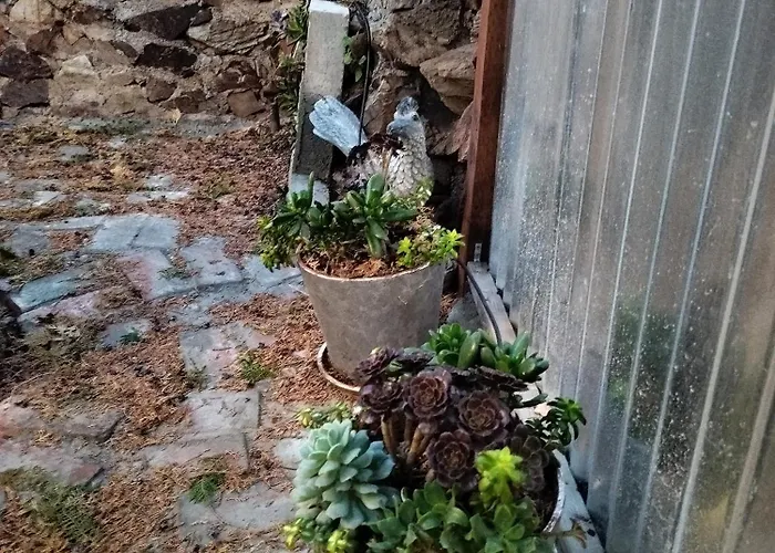 La Casa Sirena